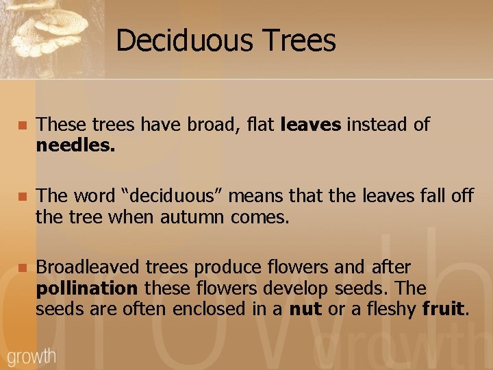 Deciduous Trees n These trees have broad, flat leaves instead of needles. n The