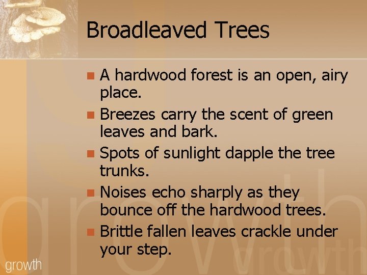 Broadleaved Trees A hardwood forest is an open, airy place. n Breezes carry the