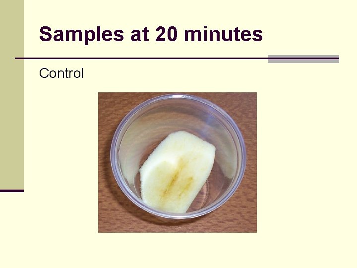 Samples at 20 minutes Control 