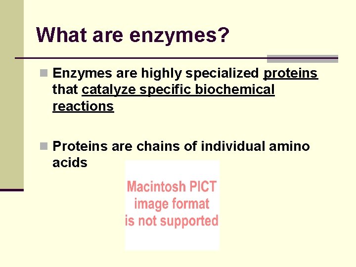 What are enzymes? n Enzymes are highly specialized proteins that catalyze specific biochemical reactions