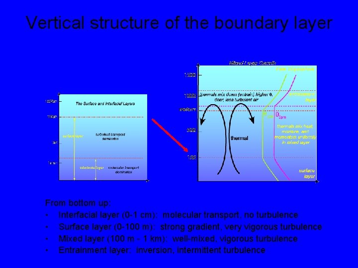 Vertical structure of the boundary layer From bottom up: • Interfacial layer (0 -1