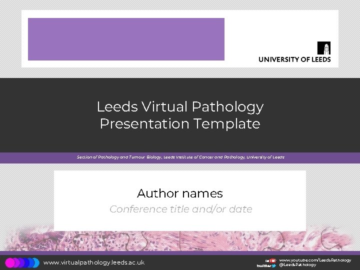 Leeds Virtual Pathology Presentation Template Section of Pathology and Tumour Biology, Leeds Institute of