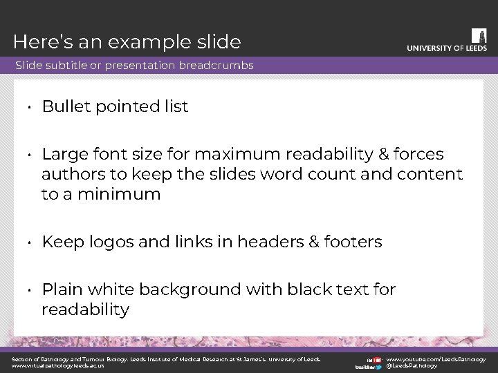 Here’s an example slide Slide subtitle or presentation breadcrumbs • Bullet pointed list •