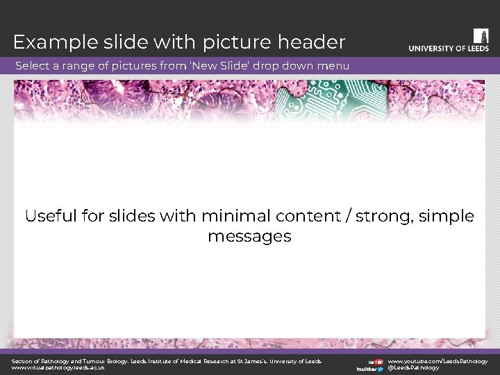 Example slide with picture header Select a range of pictures from ‘New Slide’ drop