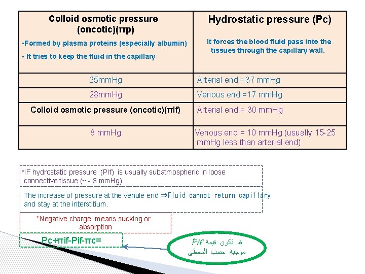 Colloid osmotic pressure (oncotic)(πp) Hydrostatic pressure (Pc) • Formed by plasma proteins (especially albumin)