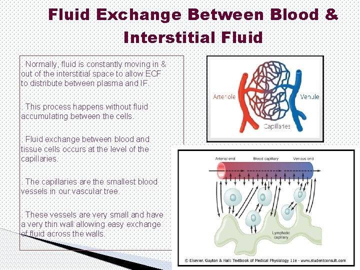 Fluid Exchange Between Blood & Interstitial Fluid. Normally, fluid is constantly moving in &