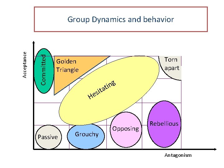 Committed Acceptance Group Dynamics and behavior Torn apart Golden Triangle g n i at