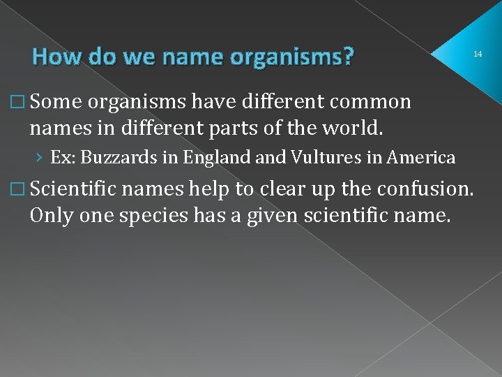 How do we name organisms? 14 � Some organisms have different common names in How do we name organisms? 14 � Some organisms have different common names in