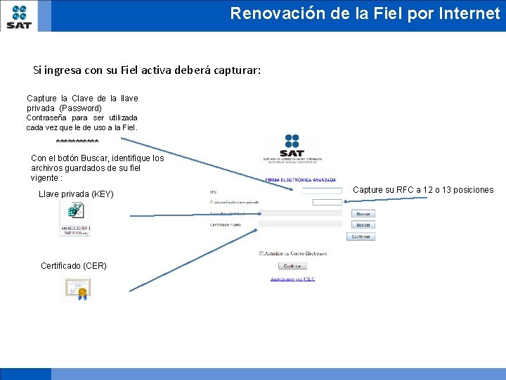 Renovación de la Fiel por Internet Si ingresa con su Fiel activa deberá capturar: