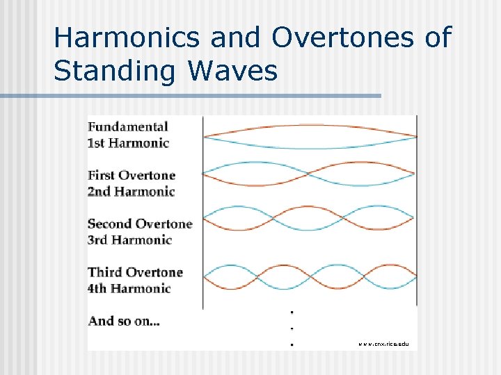 Harmonics and Overtones of Standing Waves www. cnx. rice. edu 