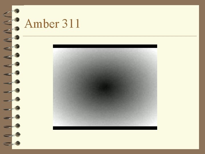 Amber 311 