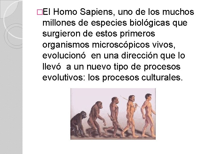 �El Homo Sapiens, uno de los muchos millones de especies biológicas que surgieron de