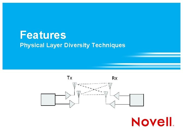 Features Physical Layer Diversity Techniques 