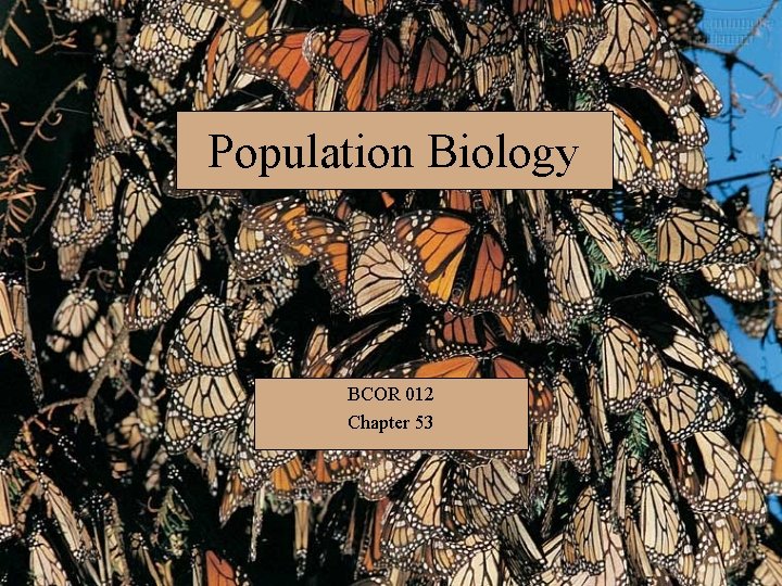 Population Biology BCOR 012 Chapter 53 