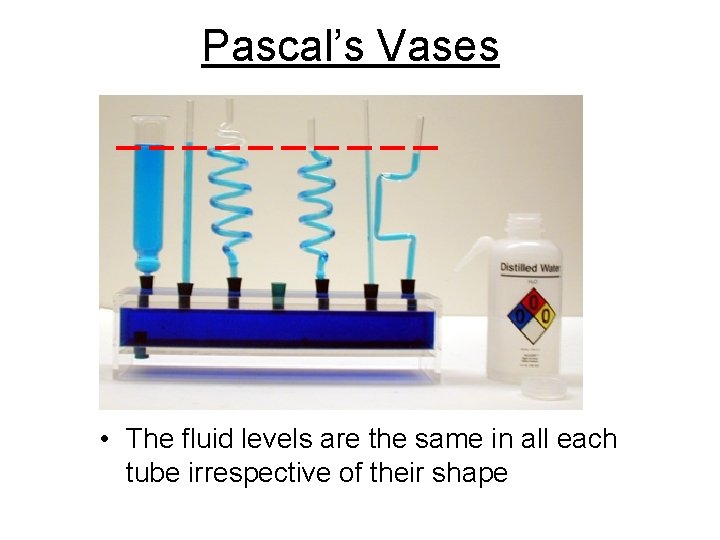 Pascal’s Vases • The fluid levels are the same in all each tube irrespective