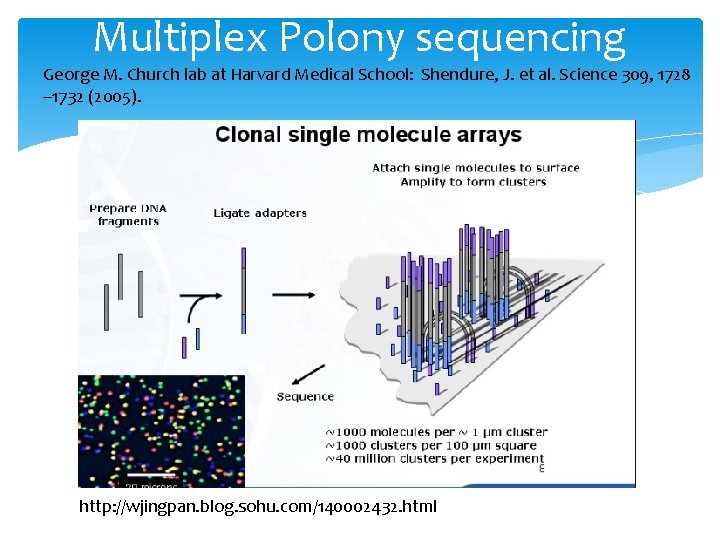 Multiplex Polony sequencing George M. Church lab at Harvard Medical School: Shendure, J. et