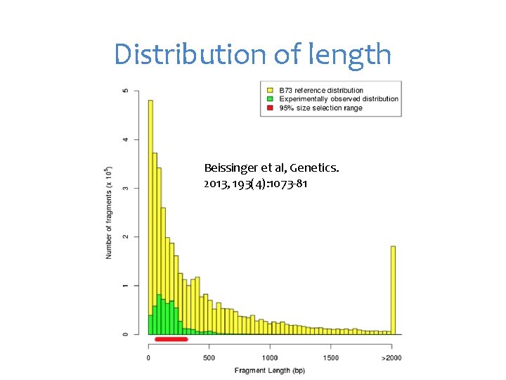 Distribution of length Beissinger et al, Genetics. 2013, 193(4): 1073 -81 