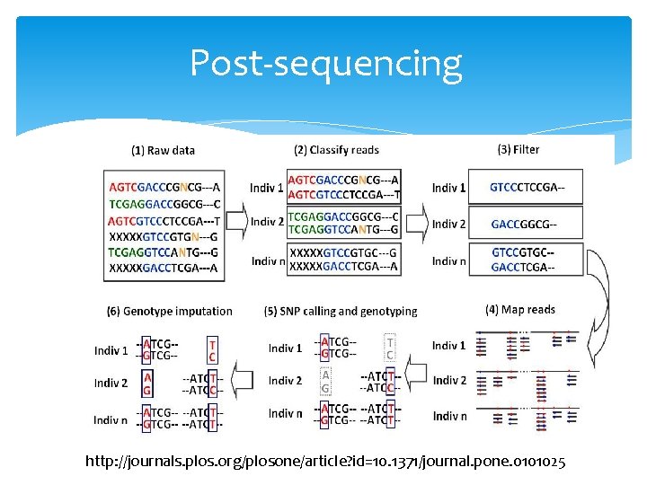 Post-sequencing http: //journals. plos. org/plosone/article? id=10. 1371/journal. pone. 0101025 