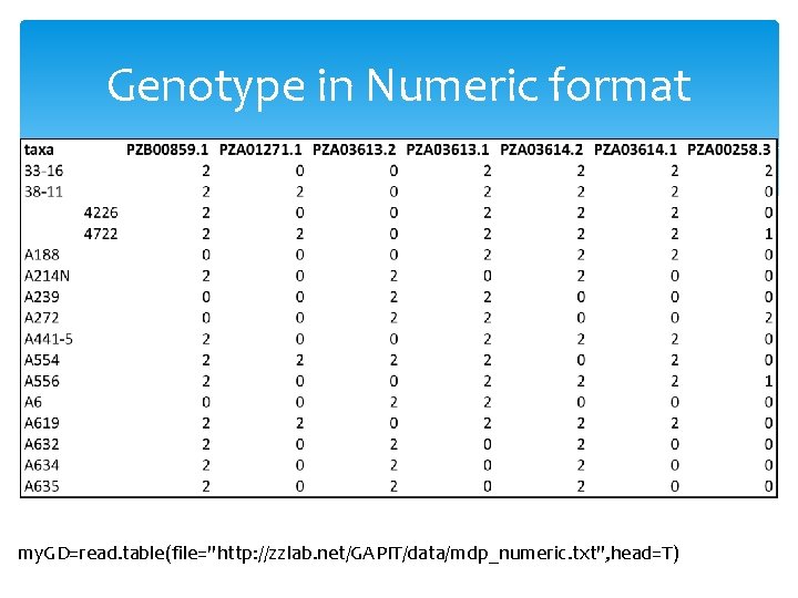 Genotype in Numeric format my. GD=read. table(file="http: //zzlab. net/GAPIT/data/mdp_numeric. txt", head=T) 