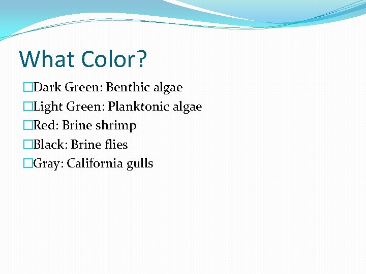 What Color? �Dark Green: Benthic algae �Light Green: Planktonic algae �Red: Brine shrimp �Black: