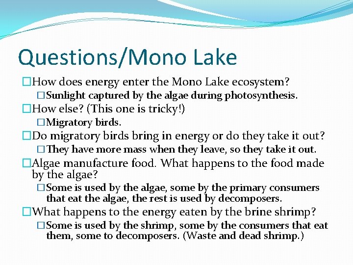 Questions/Mono Lake �How does energy enter the Mono Lake ecosystem? �Sunlight captured by the