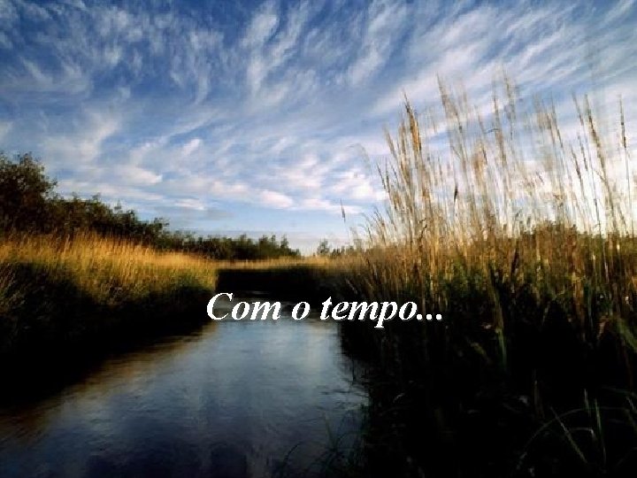 Com o tempo. . . 