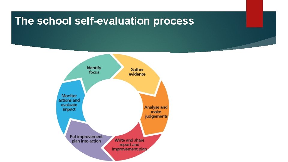 The school self-evaluation process 