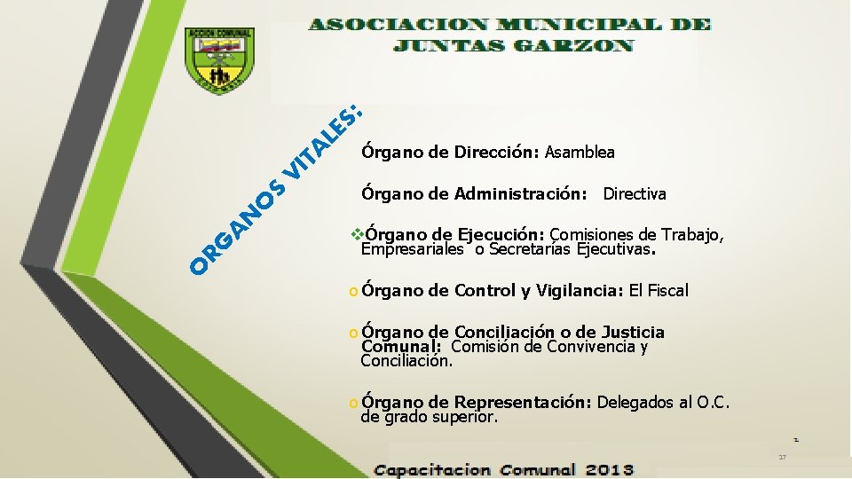 S: LE TA VI S O N A Órgano de Administración: Directiva vÓrgano de