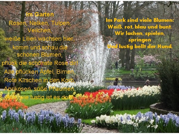 Im Garten Rosen, Nelken, Tulpen, Veilchen, weiße Lilien wachsen hier, komm und schau die