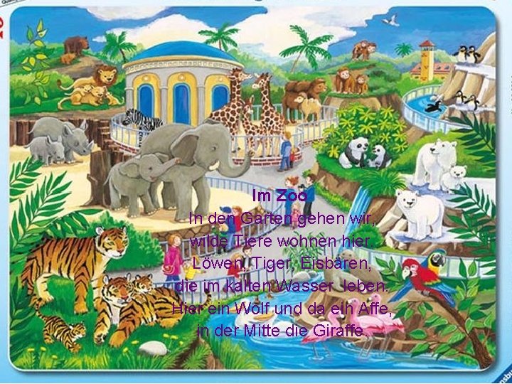 Im Zoo In den Garten gehen wir, wilde Tiere wohnen hier. Löwen, Tiger, Eisbären,