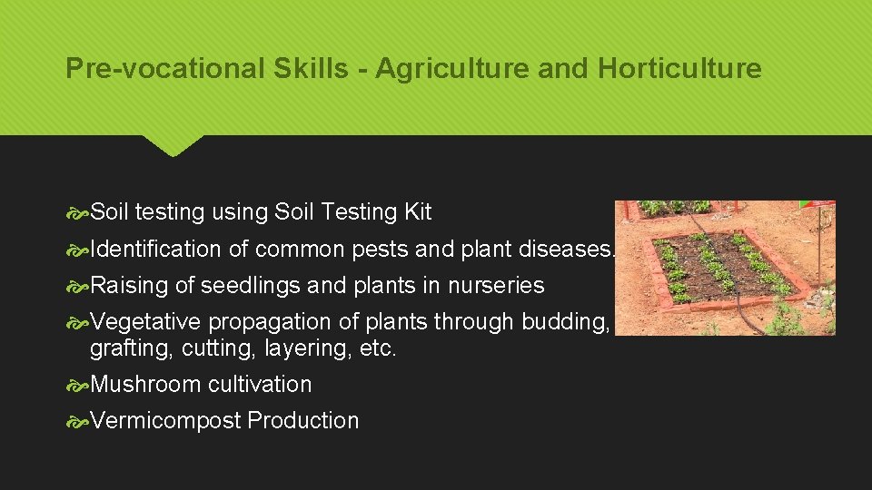 Pre-vocational Skills - Agriculture and Horticulture Soil testing using Soil Testing Kit Identification of