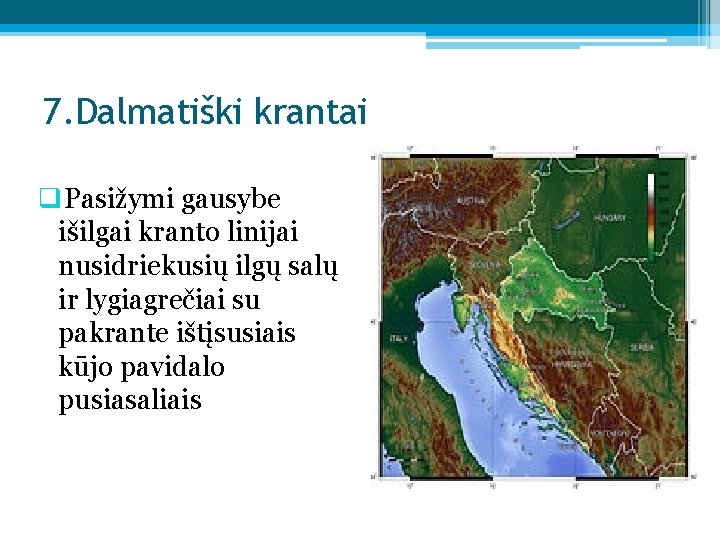 7. Dalmatiški krantai q. Pasižymi gausybe išilgai kranto linijai nusidriekusių ilgų salų ir lygiagrečiai