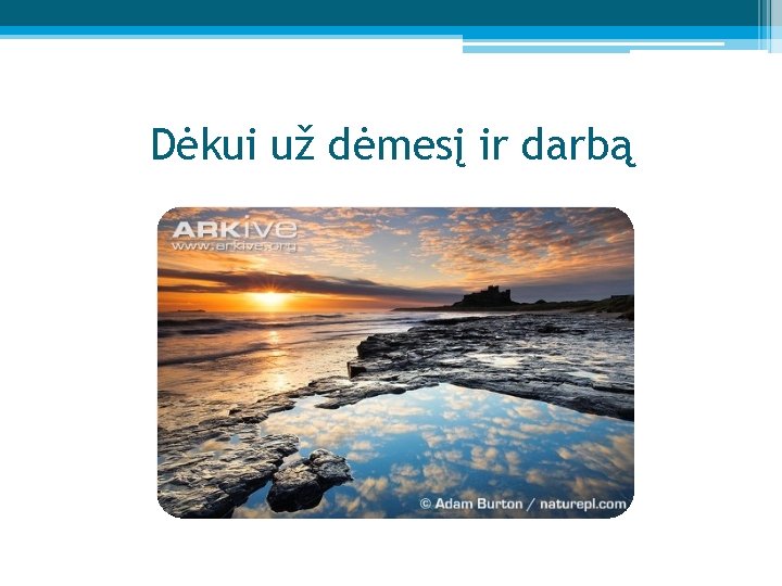 Dėkui už dėmesį ir darbą 
