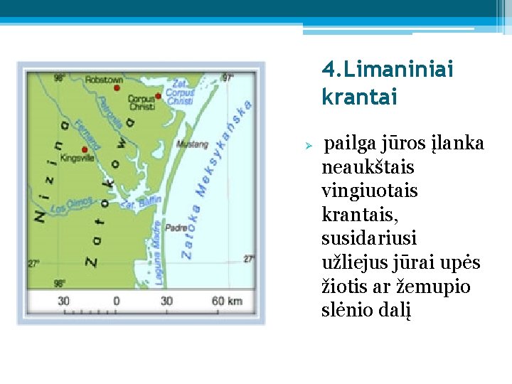 4. Limaniniai krantai Ø pailga jūros įlanka neaukštais vingiuotais krantais, susidariusi užliejus jūrai upės