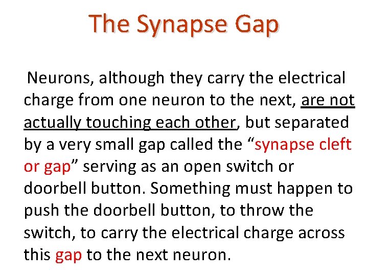 The Synapse Gap Neurons, although they carry the electrical charge from one neuron to