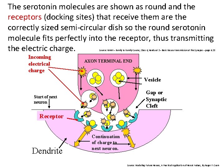 The serotonin molecules are shown as round and the receptors (docking sites) that receive