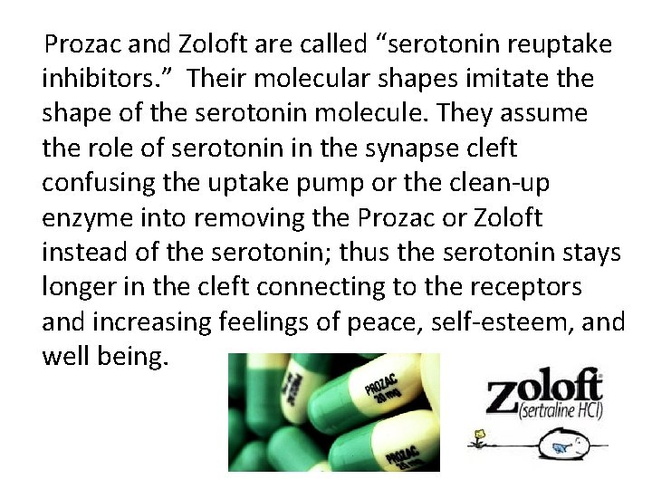  Prozac and Zoloft are called “serotonin reuptake inhibitors. ” Their molecular shapes imitate