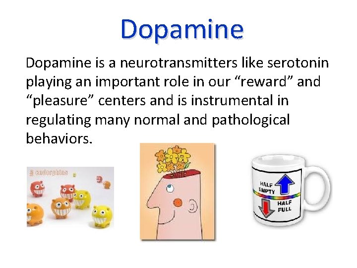  Dopamine is a neurotransmitters like serotonin playing an important role in our “reward”