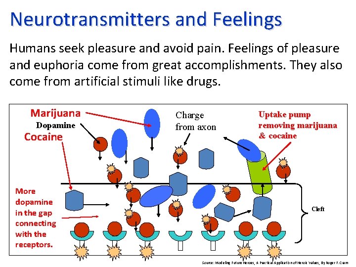 Neurotransmitters and Feelings Humans seek pleasure and avoid pain. Feelings of pleasure and euphoria