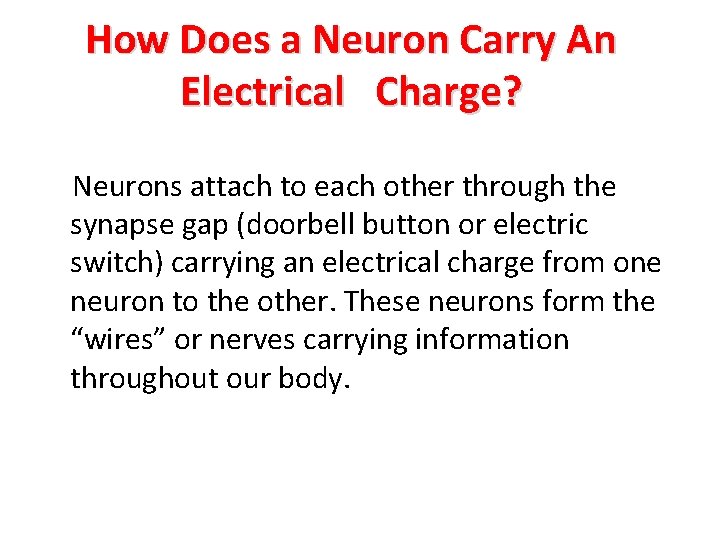 How Does a Neuron Carry An Electrical Charge? Neurons attach to each other through