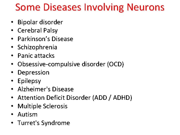 Some Diseases Involving Neurons • • • • Bipolar disorder Cerebral Palsy Parkinson’s Disease