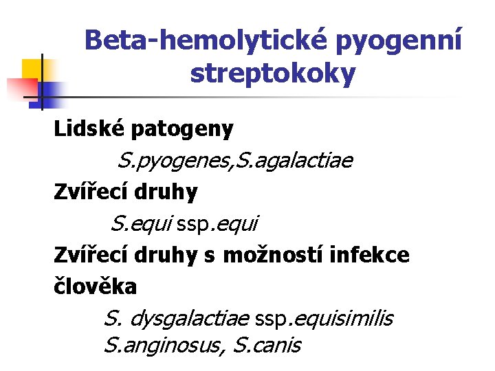 Beta-hemolytické pyogenní streptokoky Lidské patogeny S. pyogenes, S. agalactiae Zvířecí druhy S. equi ssp.