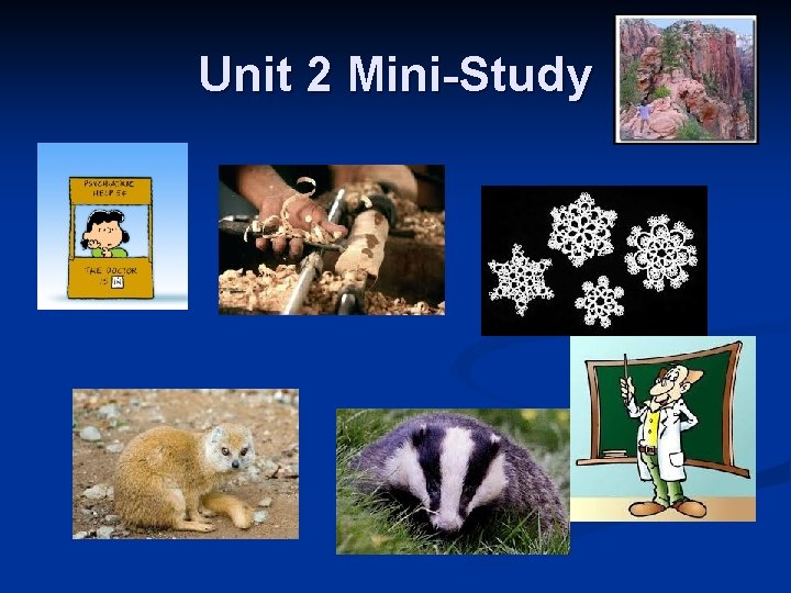 Unit 2 Mini-Study 