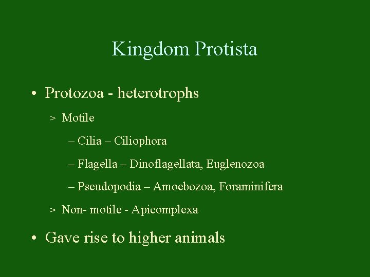 Kingdom Protista • Protozoa - heterotrophs > Motile – Cilia – Ciliophora – Flagella