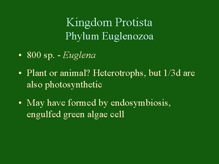 Kingdom Protista Phylum Euglenozoa • 800 sp. - Euglena • Plant or animal? Heterotrophs,