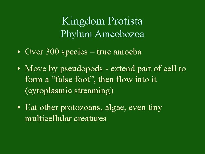 Kingdom Protista Phylum Ameobozoa • Over 300 species – true amoeba • Move by