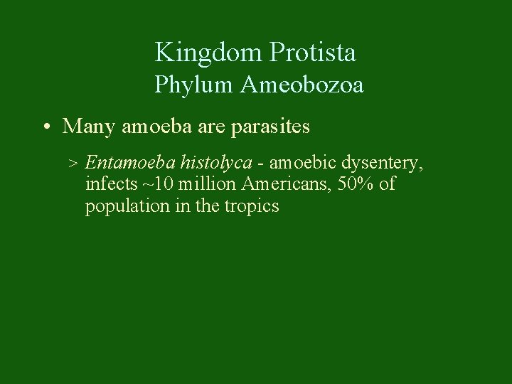 Kingdom Protista Phylum Ameobozoa • Many amoeba are parasites > Entamoeba histolyca - amoebic