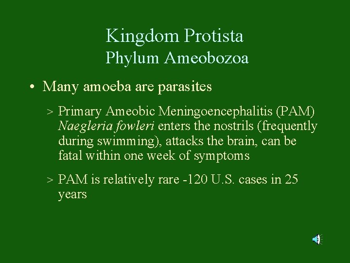 Kingdom Protista Phylum Ameobozoa • Many amoeba are parasites > Primary Ameobic Meningoencephalitis (PAM)