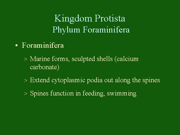 Kingdom Protista Phylum Foraminifera • Foraminifera > Marine forms, sculpted shells (calcium carbonate) >