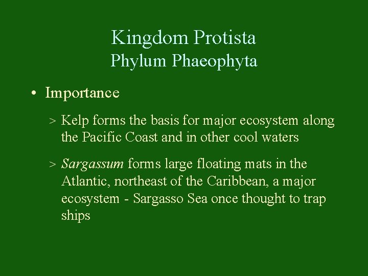 Kingdom Protista Phylum Phaeophyta • Importance > Kelp forms the basis for major ecosystem